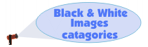 Return to Foil Images options